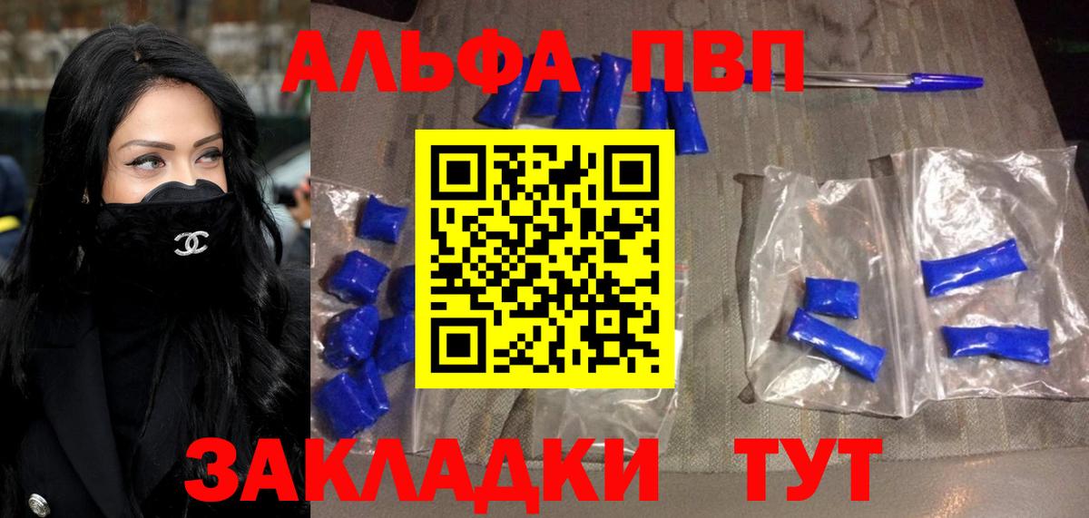 Альфа ПВП СК Кузнецк