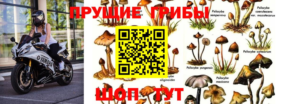 Псилоцибиновые грибы MAGIC MUSHROOMS Кузнецк