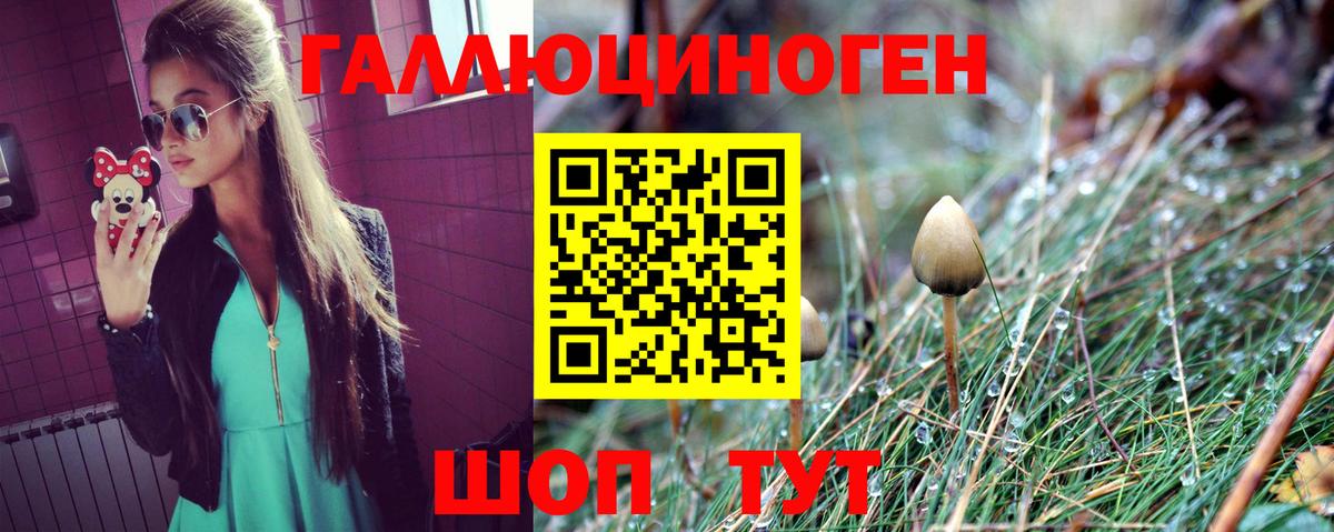 Галлюциногенные грибы Psilocybine cubensis  Вход с VPN  Галлюциногенные грибы MAGIC MUSHROOMS  Кузнецк 
