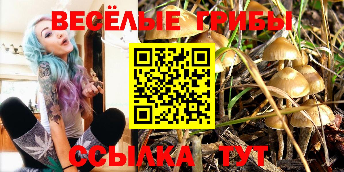 Галлюциногенные грибы Cubensis Кузнецк