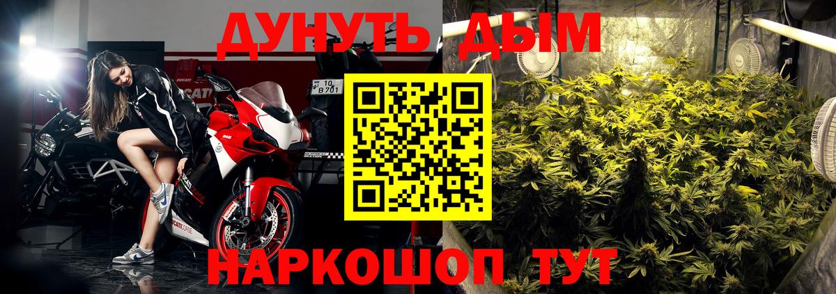 Бошки марихуана OG Kush  Каннабис ГИДРОПОН  Вход с VPN  Кузнецк  Конопля SATIVA & INDICA 